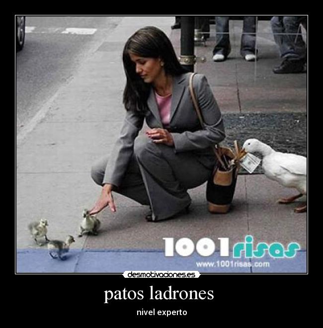 patos ladrones  - 
