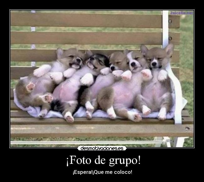 ¡Foto de grupo! - 