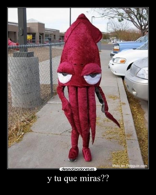 carteles calamar mirada desmotivaciones