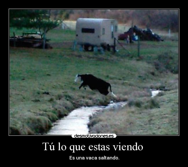 Tú lo que estas viendo  - 