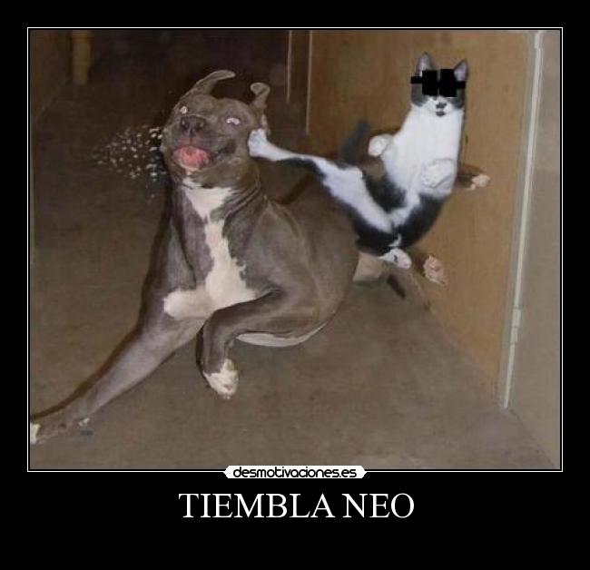 TIEMBLA NEO -