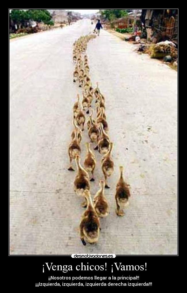 ¡Venga chicos! ¡Vamos! - 