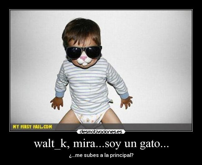 carteles walt_k desmotivaciones