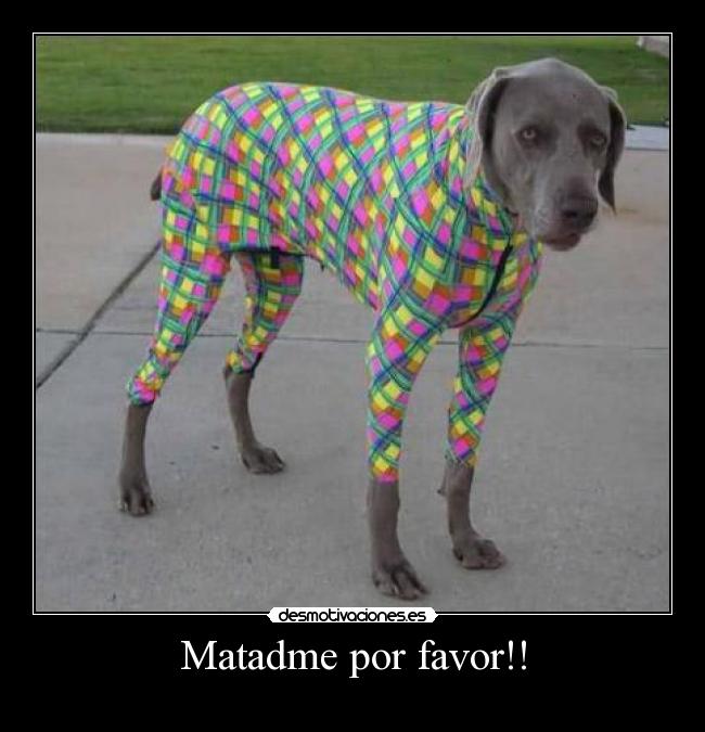 Matadme por favor!! - 