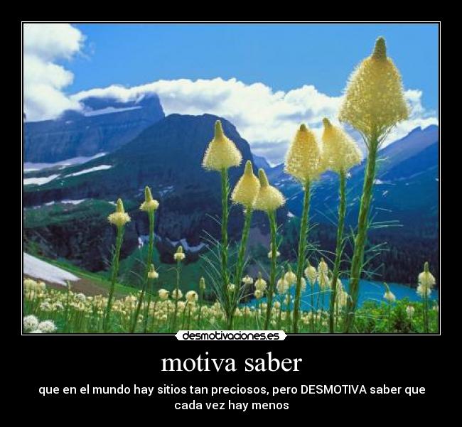 motiva saber - que en el mundo hay sitios tan preciosos, pero DESMOTIVA saber que
cada vez hay menos