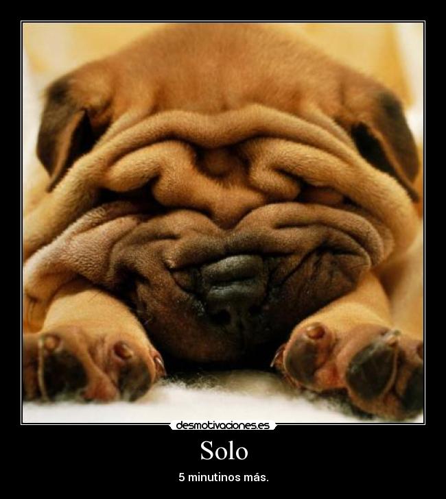 Solo - 5 minutinos más.