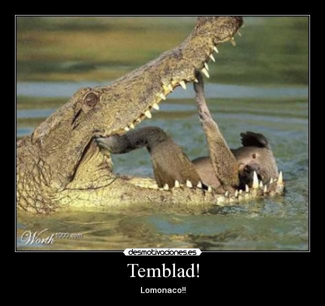 Temblad! - Lomonaco!!