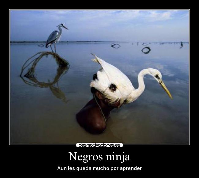 Negros ninja - Aun les queda mucho por aprender