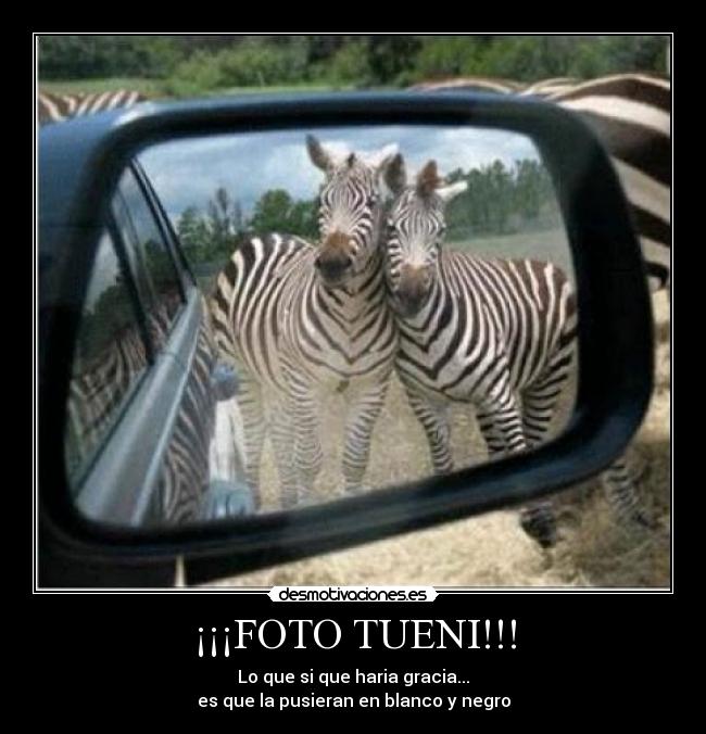 ¡¡¡FOTO TUENI!!! - Lo que si que haria gracia...
es que la pusieran en blanco y negro