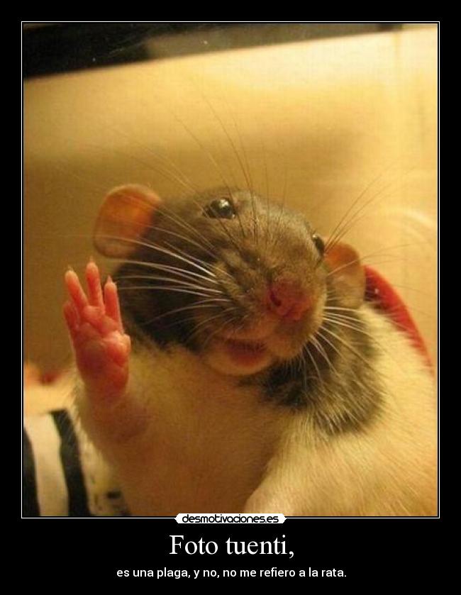 Foto tuenti, - es una plaga, y no, no me refiero a la rata.
