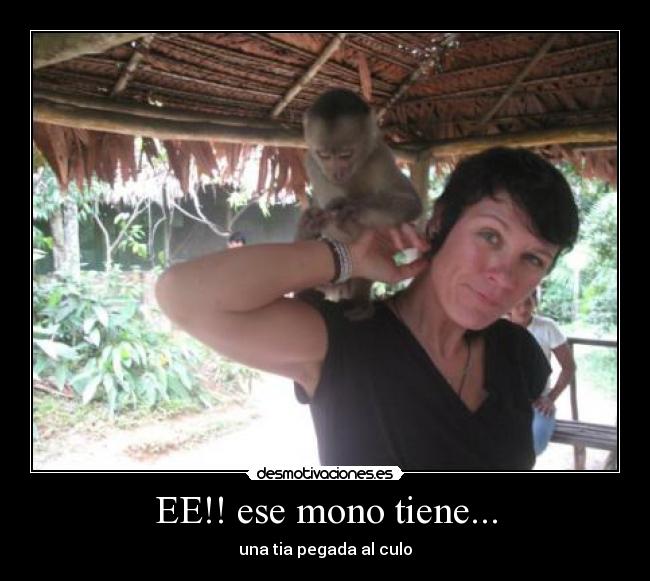 EE!! ese mono tiene... - una tia pegada al culo