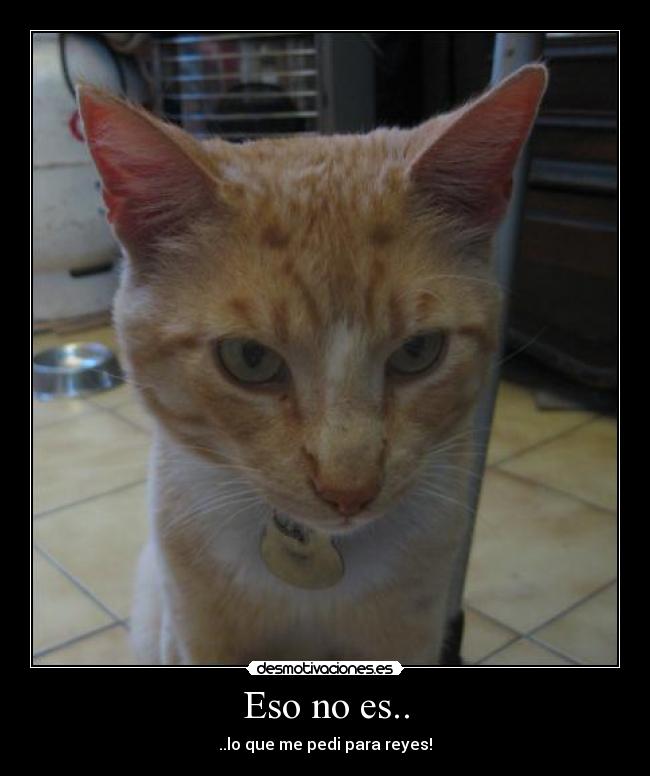 Eso no es.. - ..lo que me pedi para reyes!