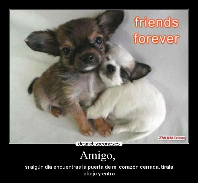 Amigo,  - 