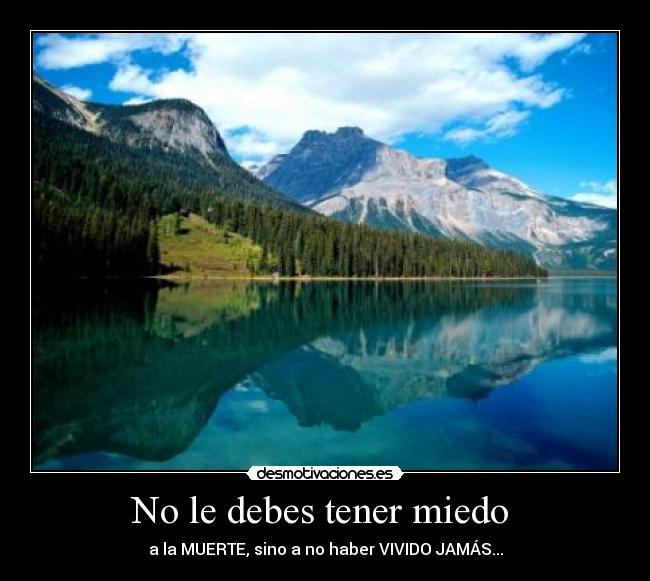 carteles miedo miedo desmotivaciones