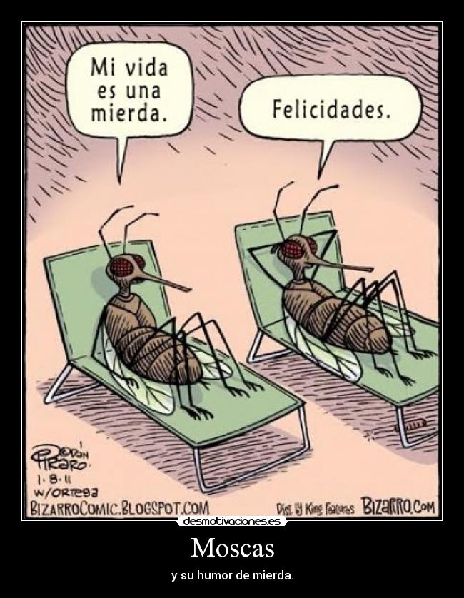 Moscas - y su humor de mierda.