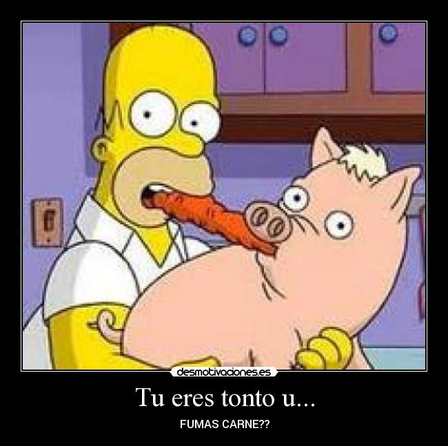 Tu eres tonto u... -