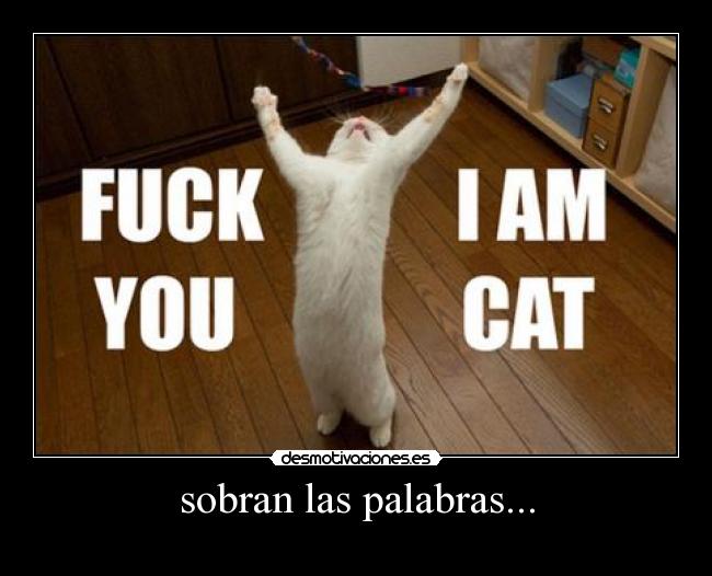 sobran las palabras... - 