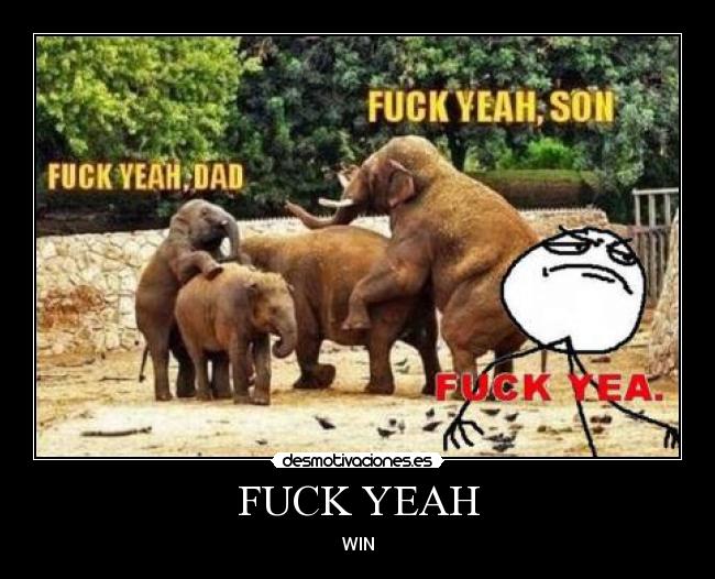 FUCK YEAH - WIN