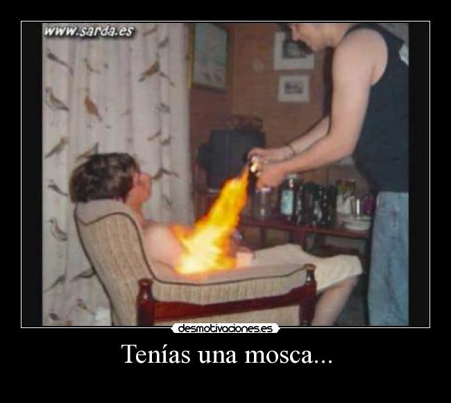 Tenías una mosca... -