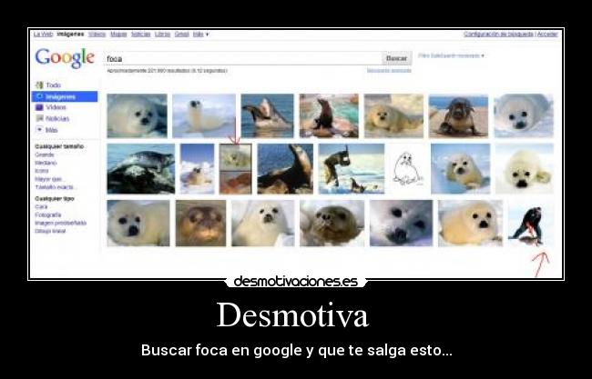 carteles matanza focas desmotivaciones