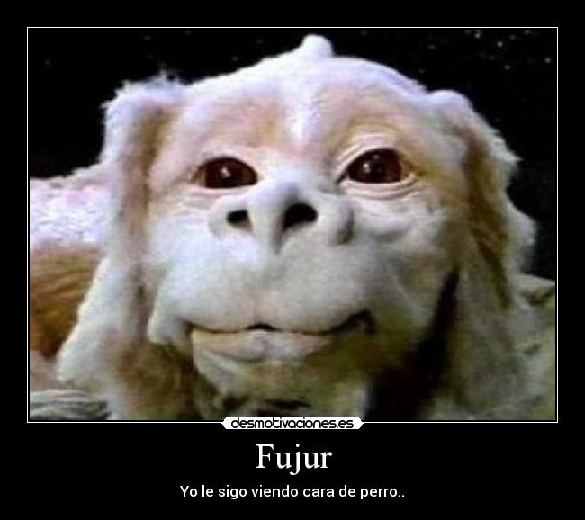 Fujur - Yo le sigo viendo cara de perro..