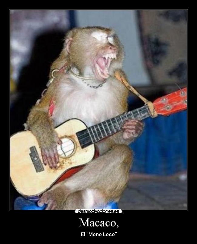 Macaco, - 