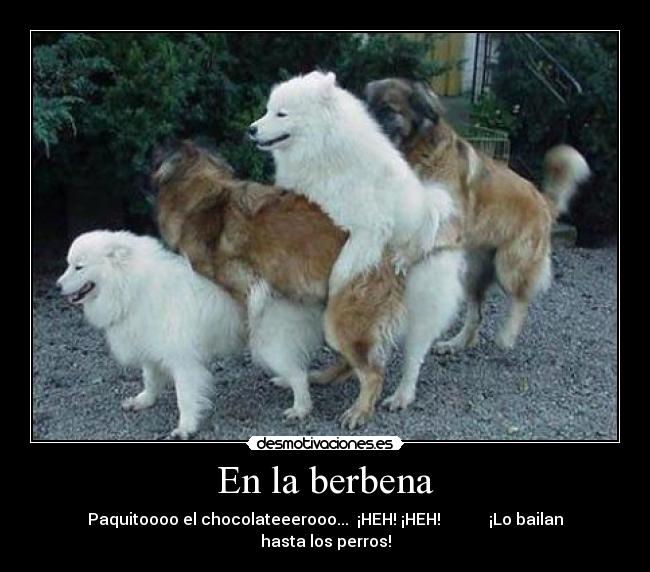 En la berbena - Paquitoooo el chocolateeerooo...  ¡HEH! ¡HEH!            ¡Lo bailan hasta los perros!