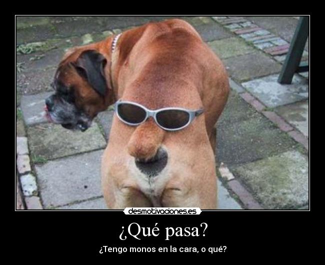 ¿Qué pasa? - ¿Tengo monos en la cara, o qué?