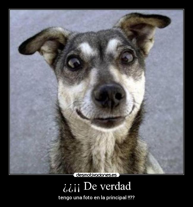 ¿¿¡¡ De verdad -