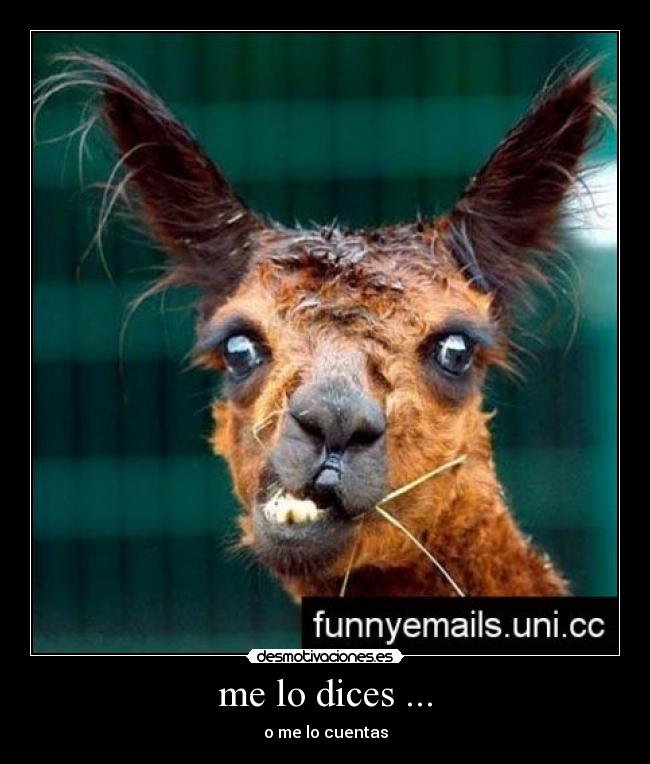 me lo dices ... - o me lo cuentas