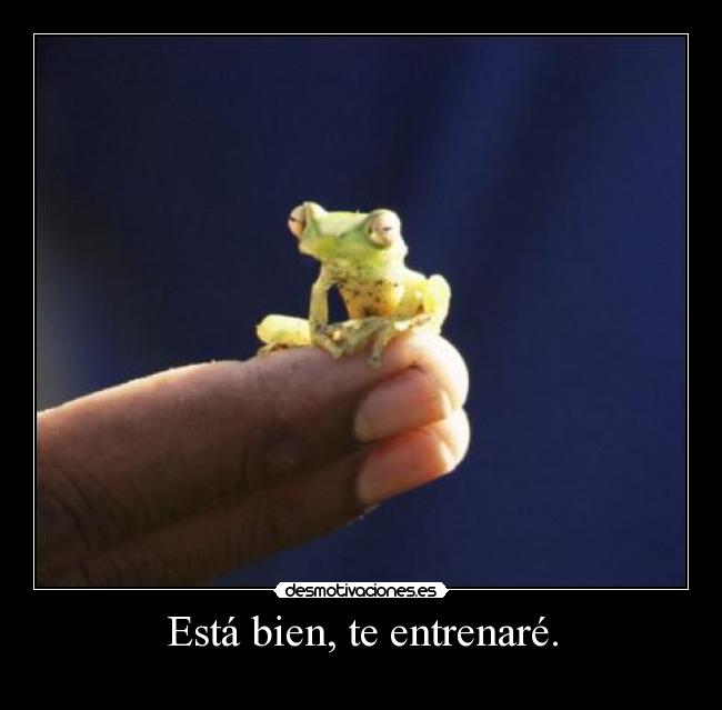 carteles funny frog desmotivaciones