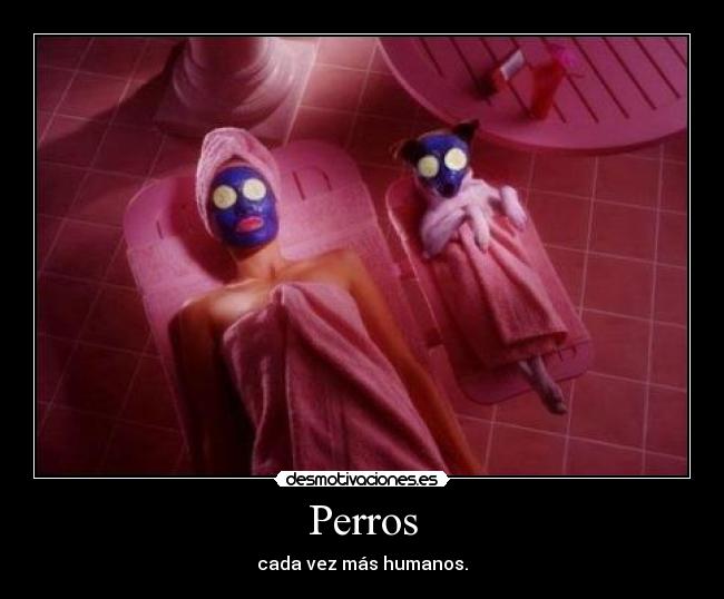 Perros - cada vez más humanos.