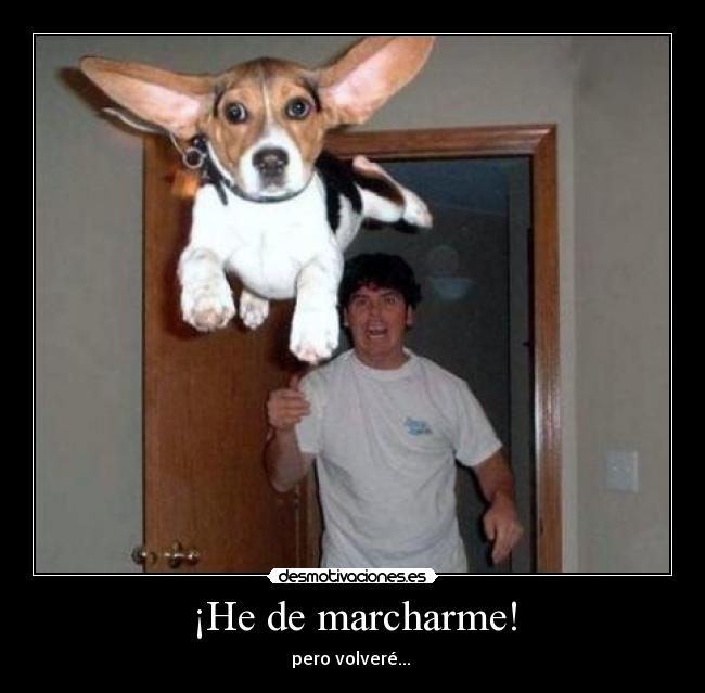 ¡He de marcharme! - 