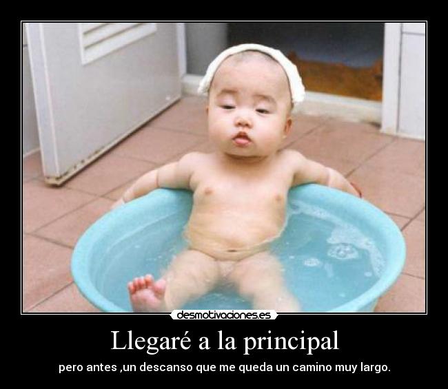 Llegaré a la principal - 