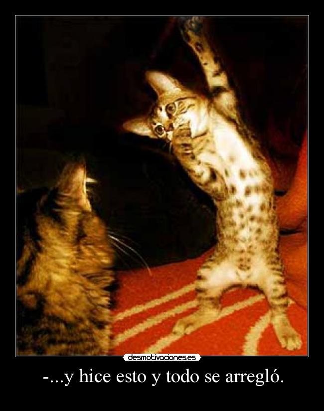 -...y hice esto y todo se arregló. - 