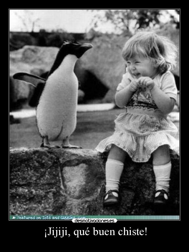 ¡Jijiji, qué buen chiste! - 