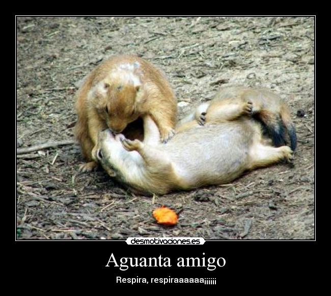 Aguanta amigo -