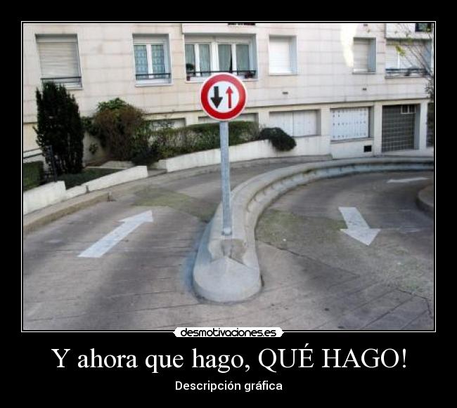 Y ahora que hago, QUÉ HAGO! - Descripción gráfica