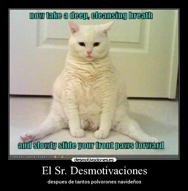 El Sr. Desmotivaciones - despues de tantos polvorones navideños