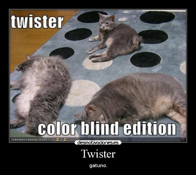Twister - gatuno.