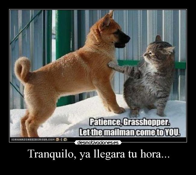 Tranquilo, ya llegara tu hora... - 