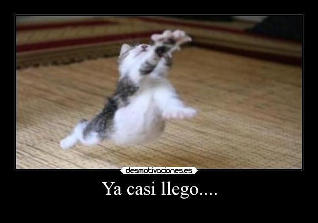 Ya casi llego.... - 
