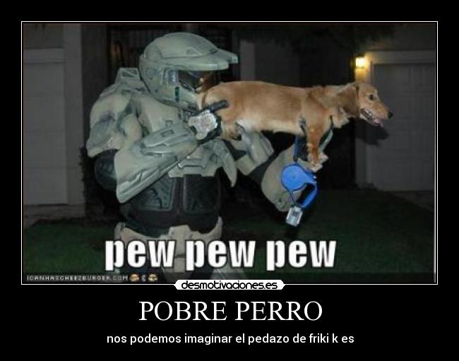 POBRE PERRO - 