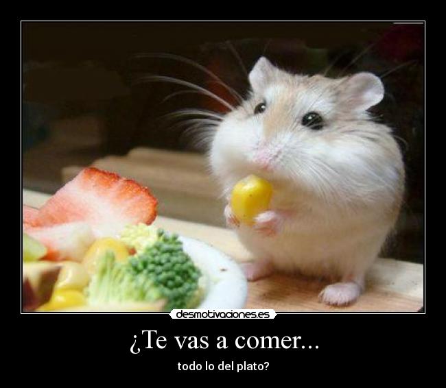 ¿Te vas a comer... - todo lo del plato?
