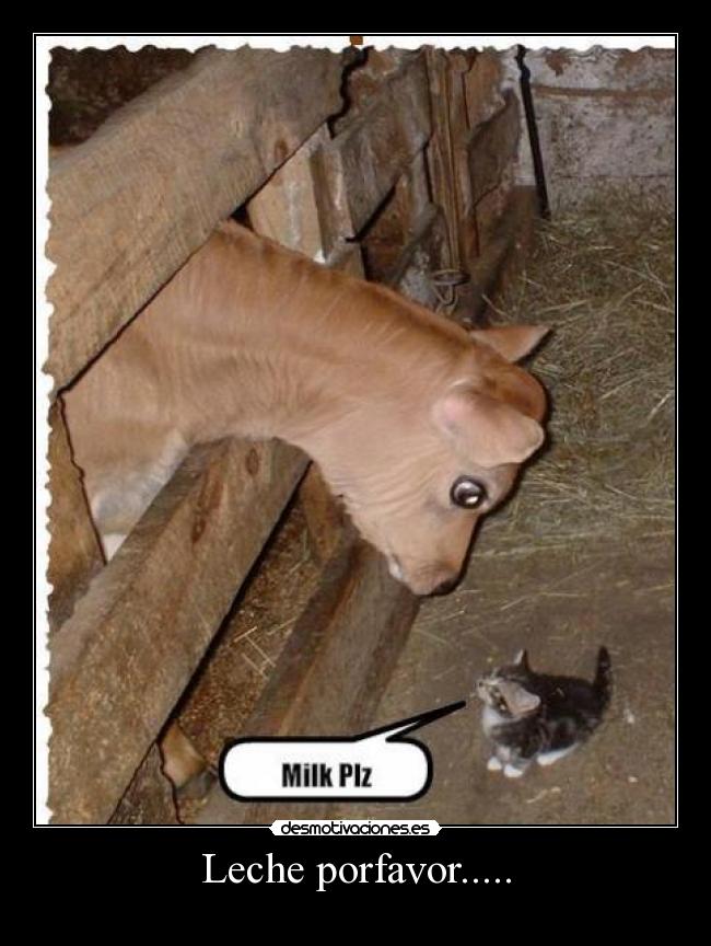 Leche porfavor..... - 