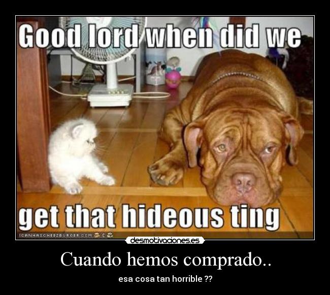 Cuando hemos comprado.. -