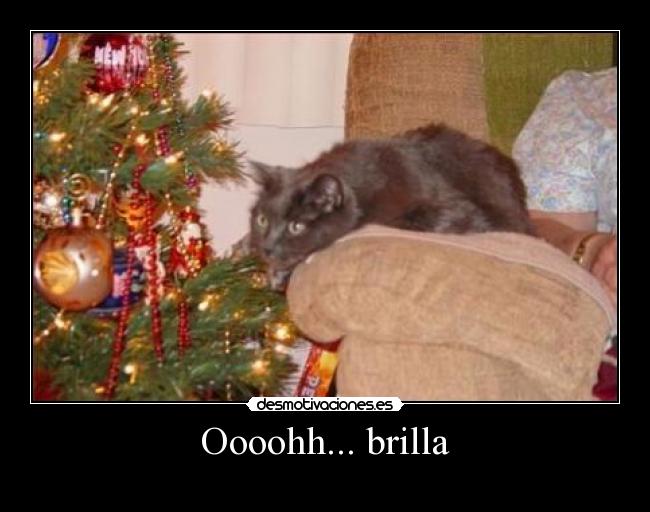 Oooohh... brilla -