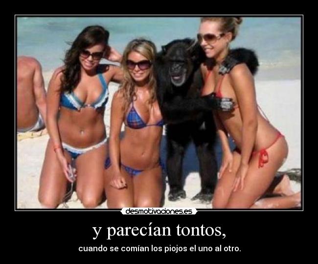 y parecían tontos, - 