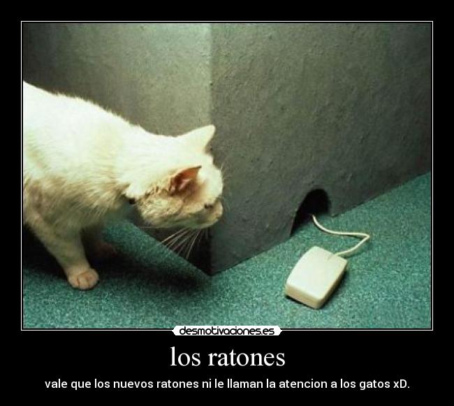 los ratones - vale que los nuevos ratones ni le llaman la atencion a los gatos xD.