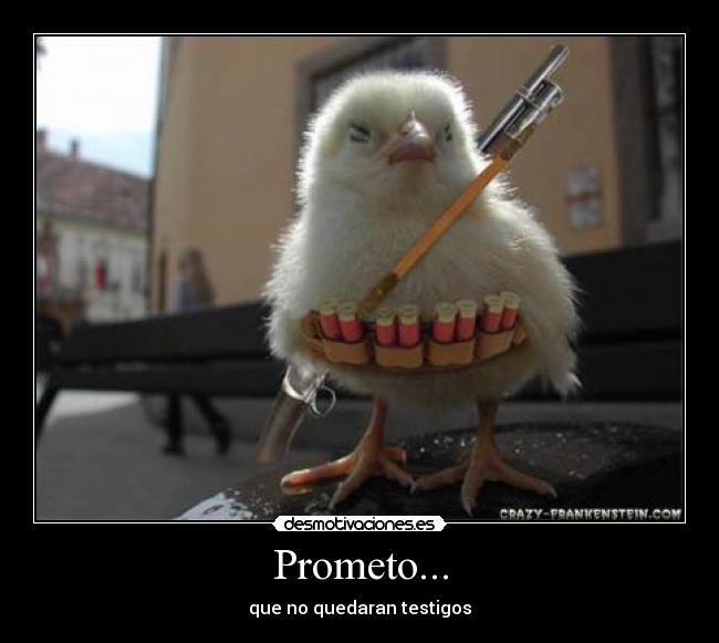 Prometo... - 